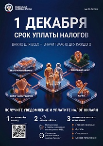 1 Декабря срок уплаты налогов